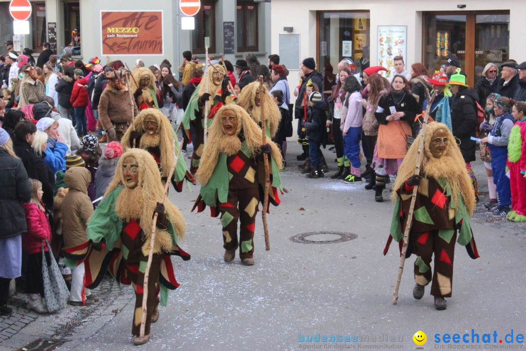 Rosenmontags-Umzug: Ravensburg am Bodensee, 08.02.2016