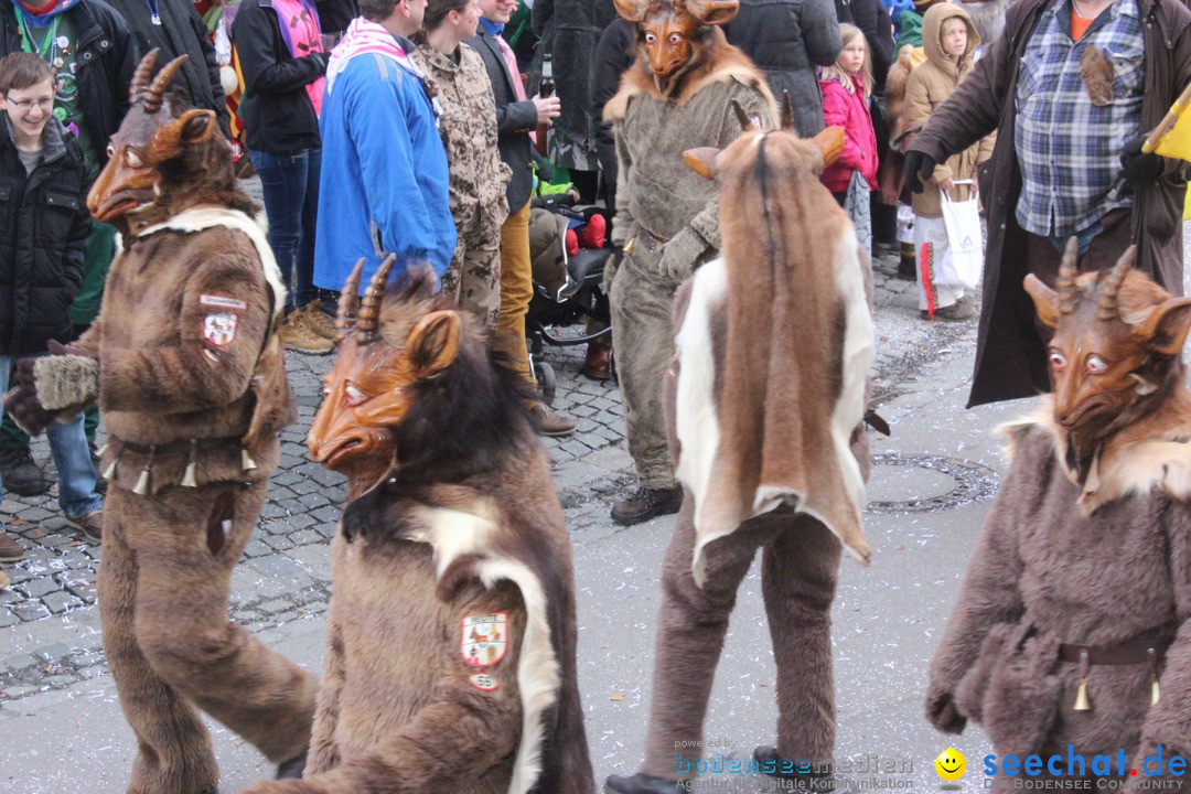 Rosenmontags-Umzug: Ravensburg am Bodensee, 08.02.2016