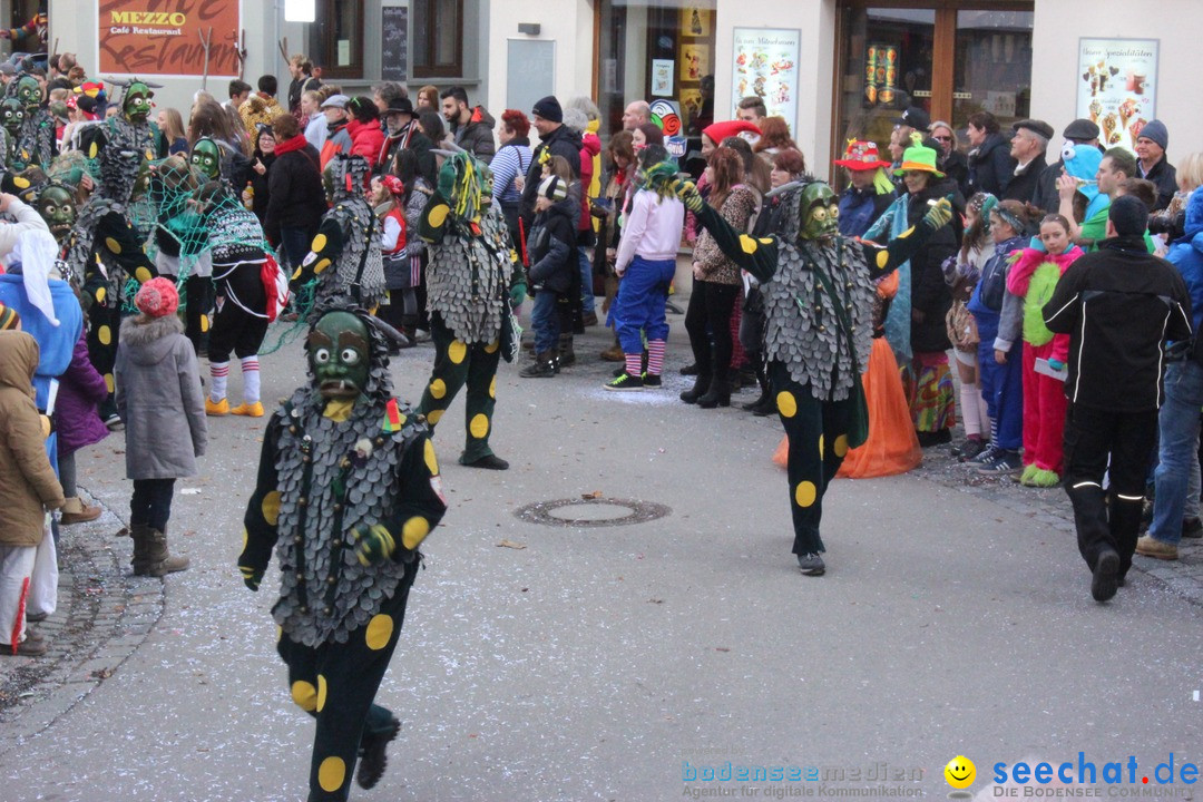 Rosenmontags-Umzug: Ravensburg am Bodensee, 08.02.2016