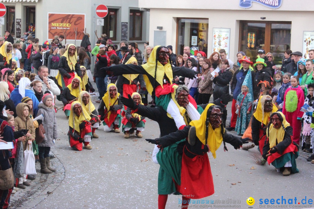 Rosenmontags-Umzug: Ravensburg am Bodensee, 08.02.2016