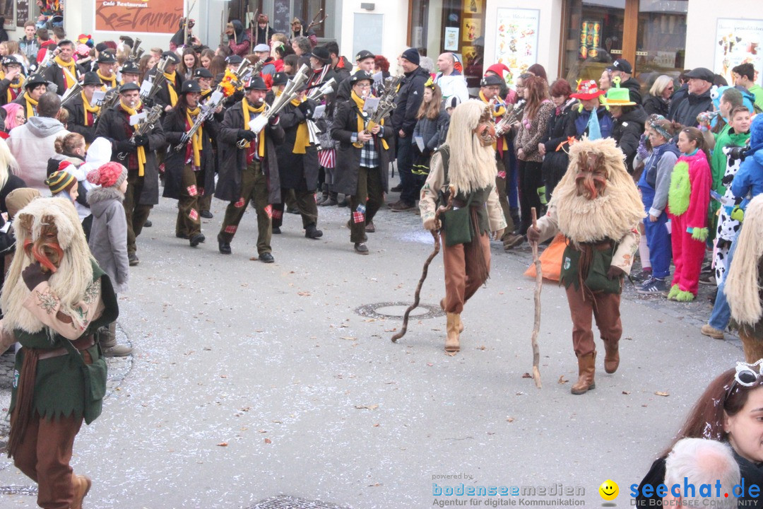 Rosenmontags-Umzug: Ravensburg am Bodensee, 08.02.2016