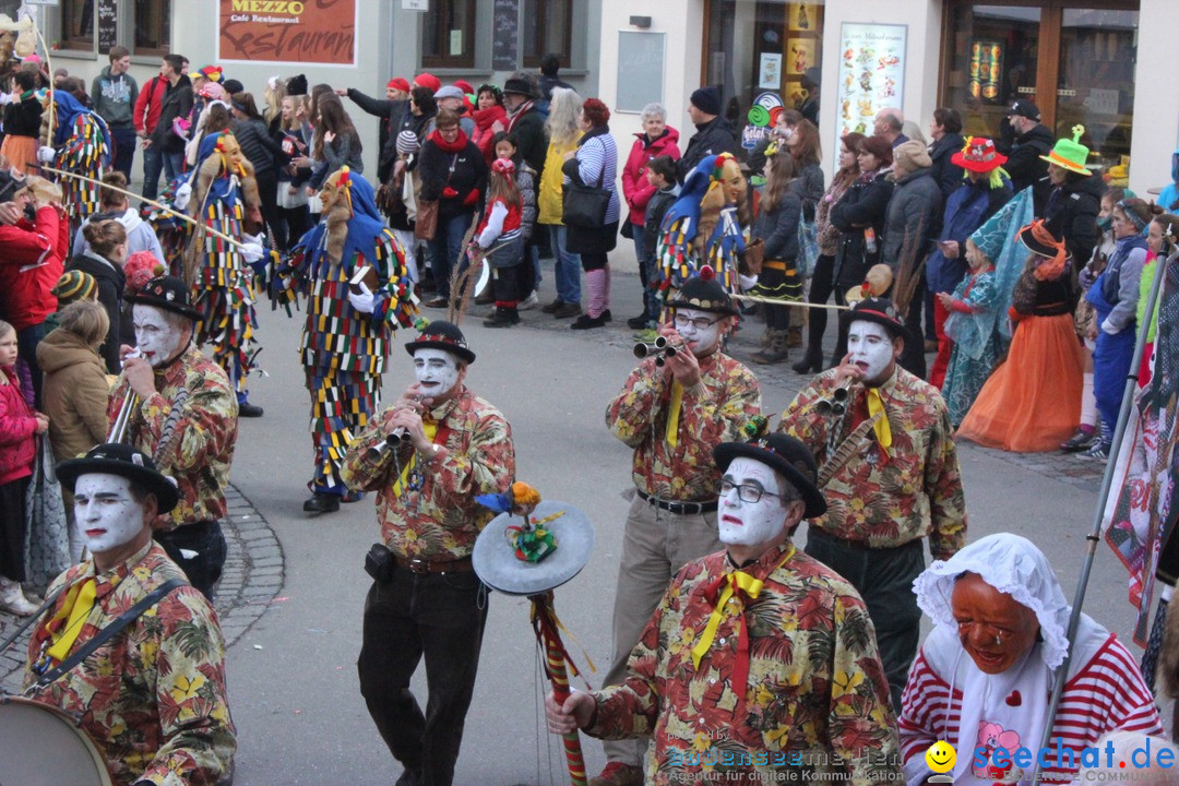 Rosenmontags-Umzug: Ravensburg am Bodensee, 08.02.2016