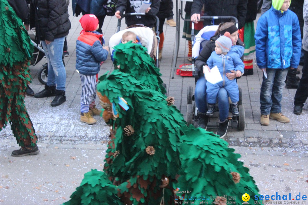 Rosenmontags-Umzug: Ravensburg am Bodensee, 08.02.2016