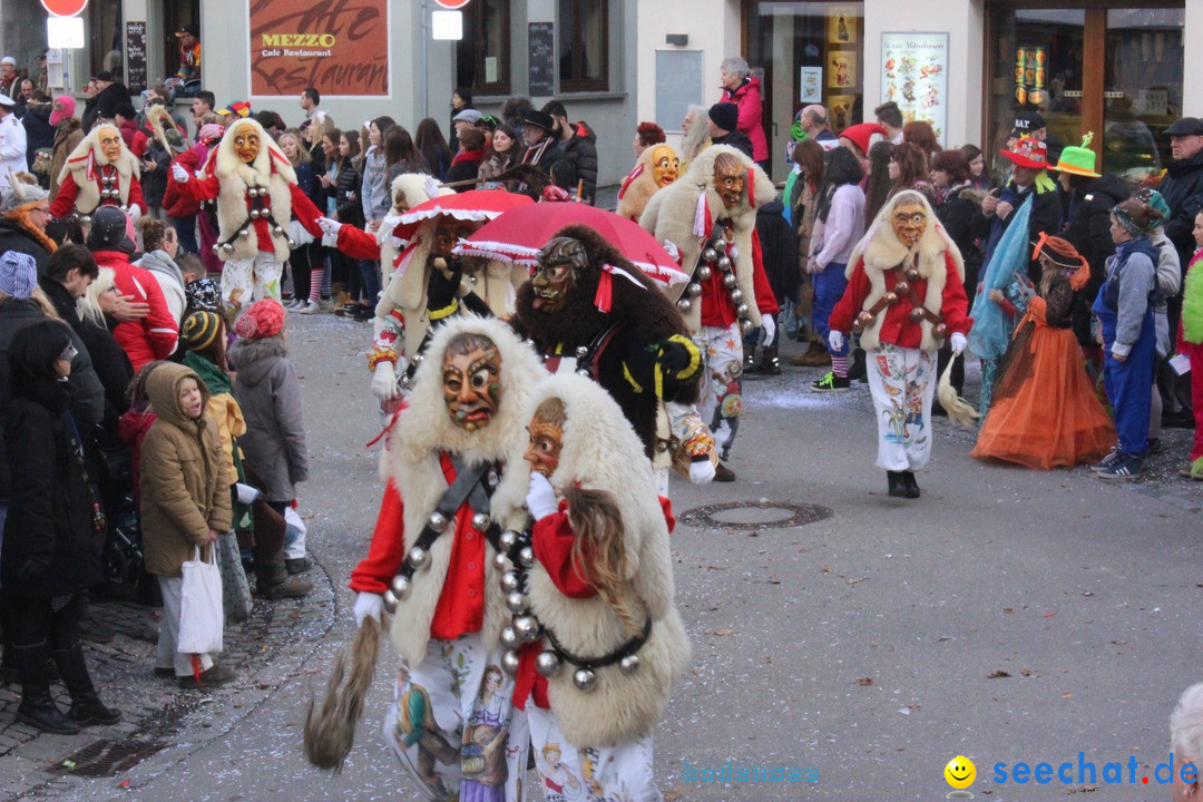 Rosenmontags-Umzug: Ravensburg am Bodensee, 08.02.2016