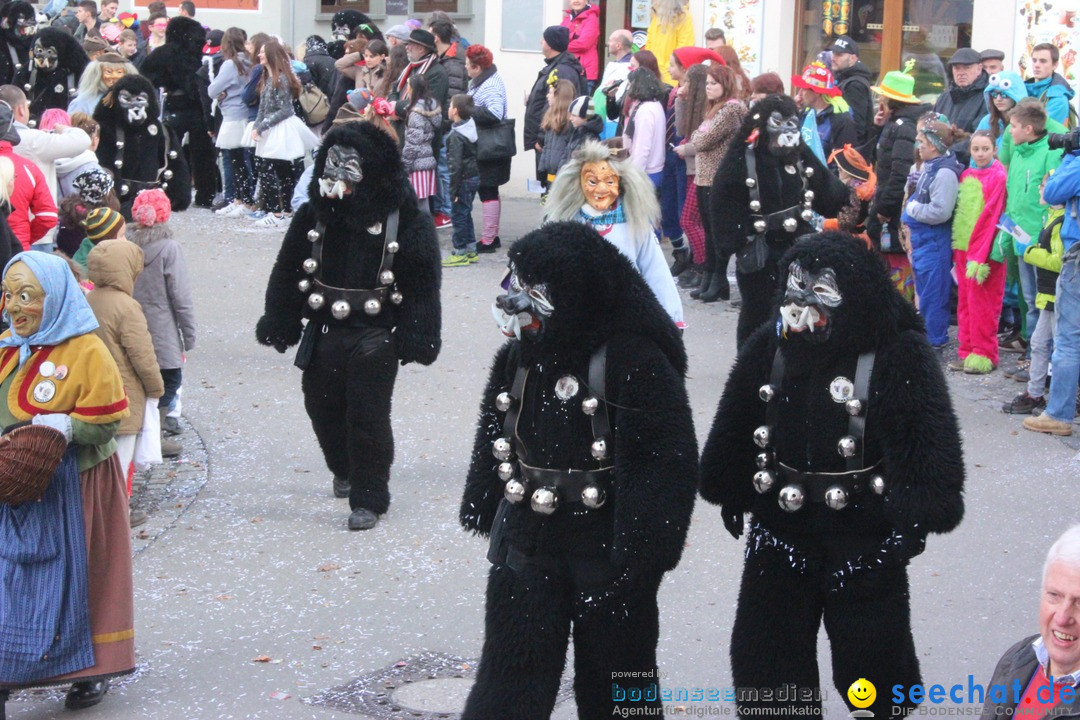 Rosenmontags-Umzug: Ravensburg am Bodensee, 08.02.2016