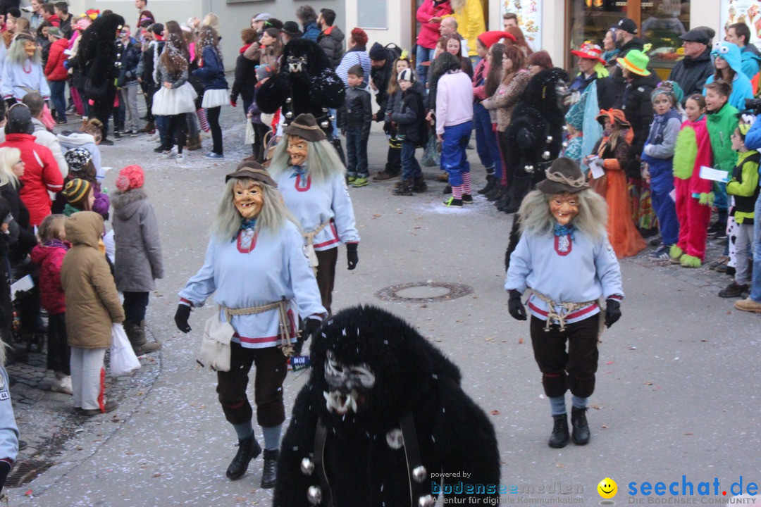 Rosenmontags-Umzug: Ravensburg am Bodensee, 08.02.2016