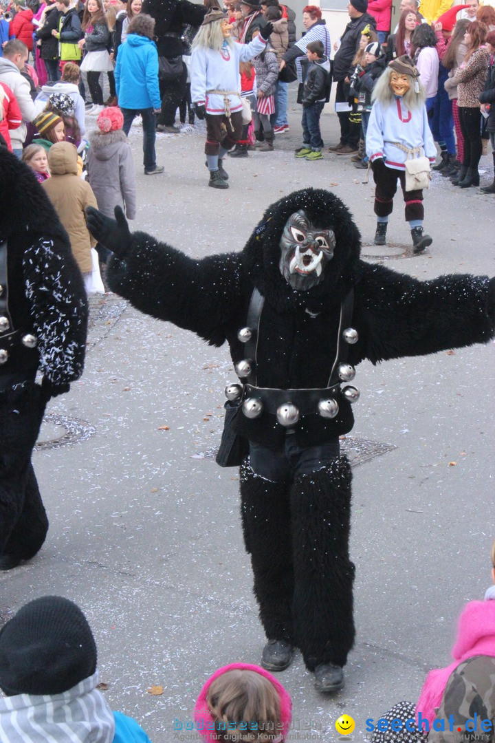 Rosenmontags-Umzug: Ravensburg am Bodensee, 08.02.2016