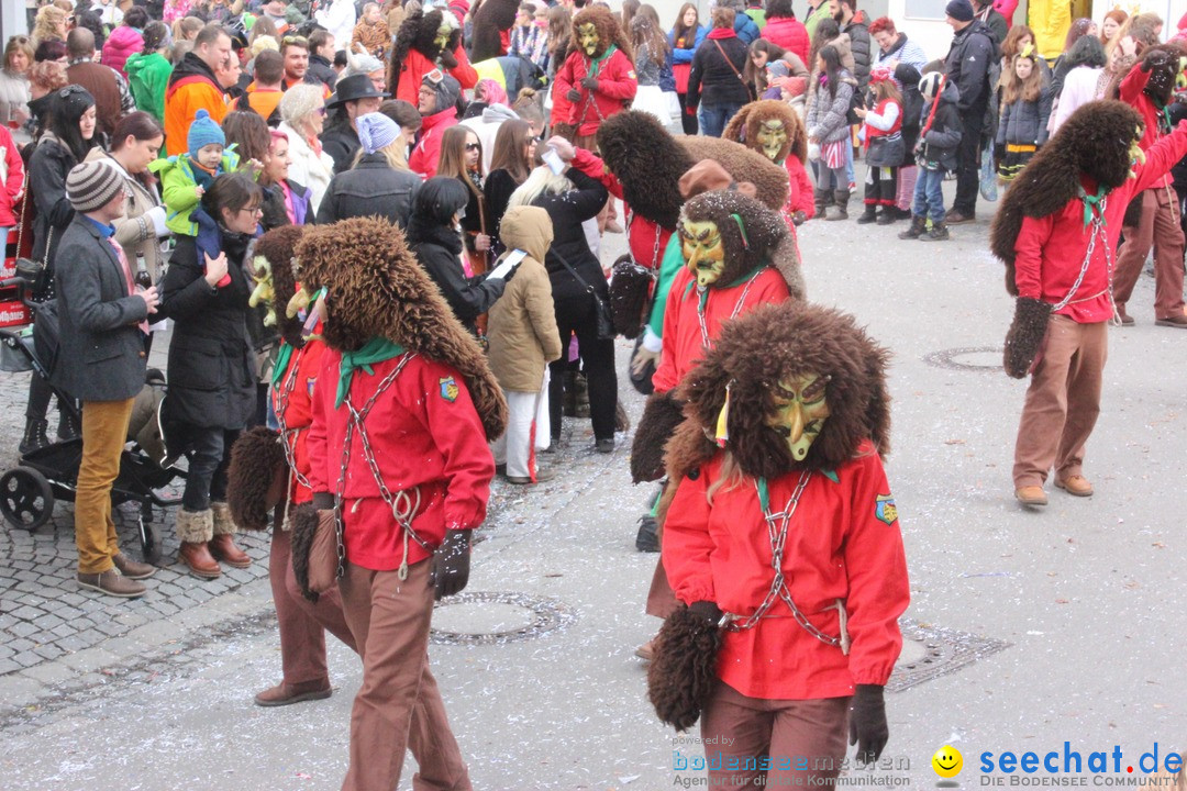 Rosenmontags-Umzug: Ravensburg am Bodensee, 08.02.2016