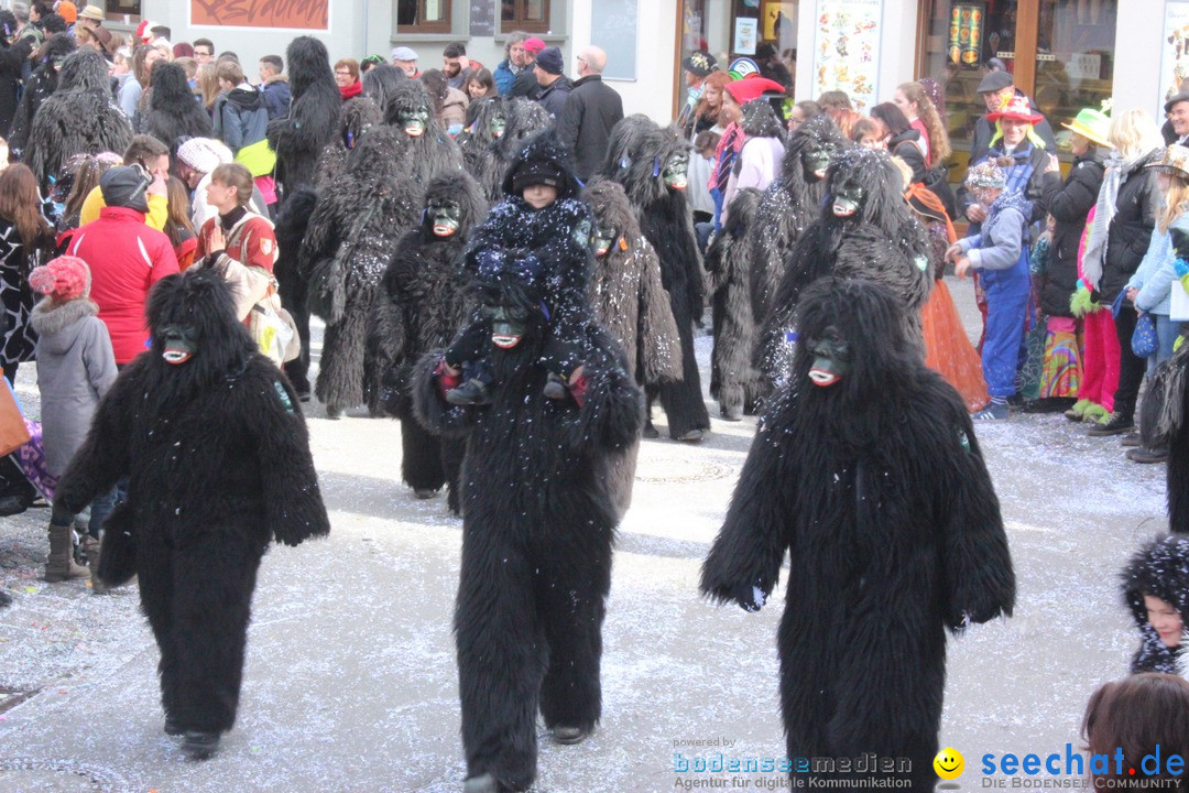 Rosenmontags-Umzug: Ravensburg am Bodensee, 08.02.2016