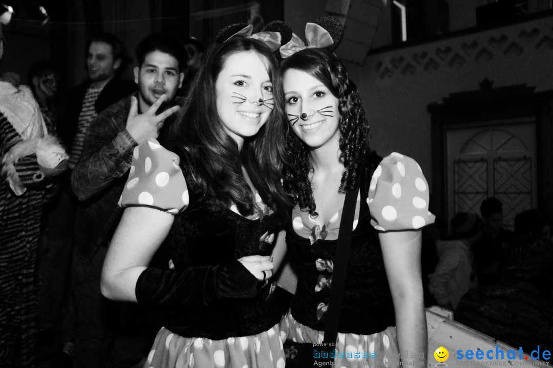 Maskenball-Buerglen-13-02-2016-Bodensee-Community-SEECHAT_DE-_185_.jpg