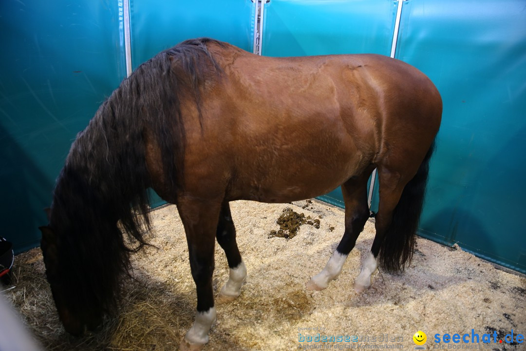 PFERD BODENSEE: Friedrichshafen am Bodensee, 13.02.2016