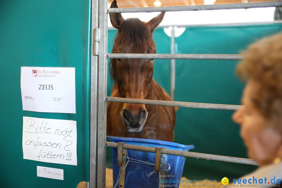 PFERD BODENSEE: Friedrichshafen am Bodensee, 13.02.2016