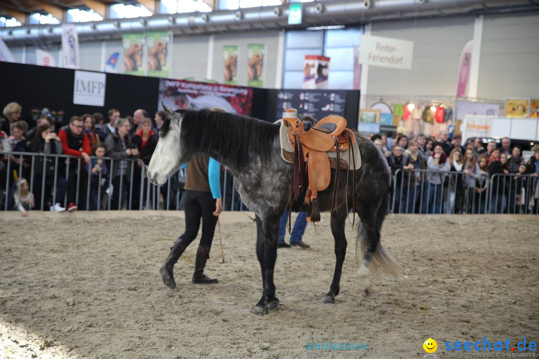 PFERD BODENSEE: Friedrichshafen am Bodensee, 13.02.2016