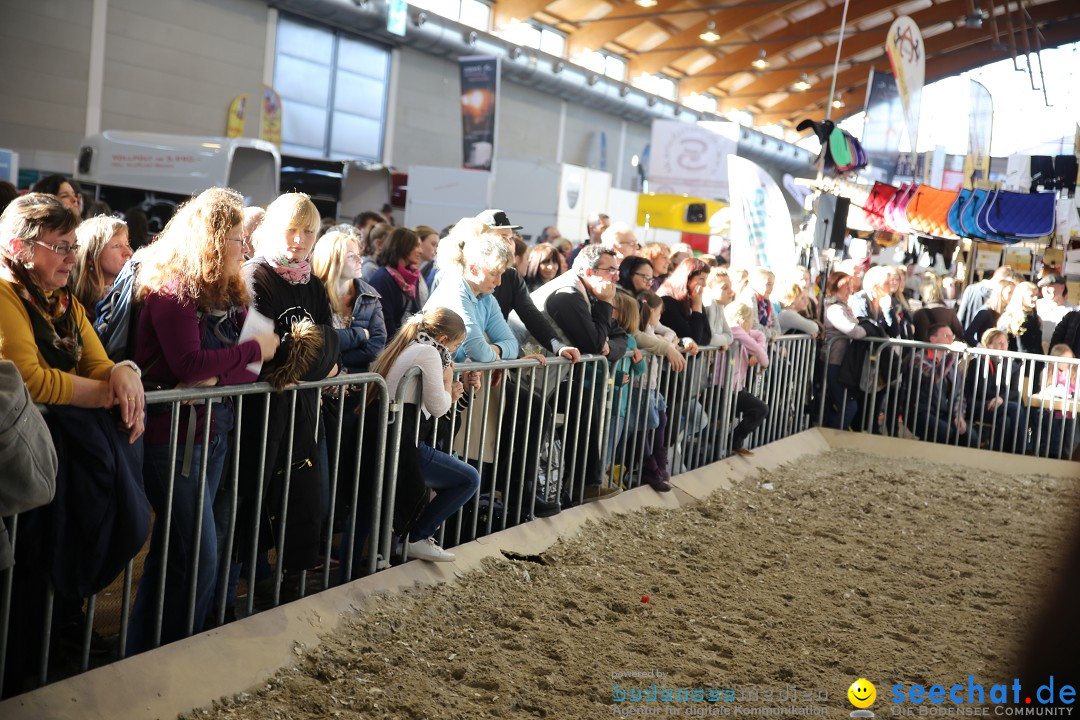 PFERD BODENSEE: Friedrichshafen am Bodensee, 13.02.2016