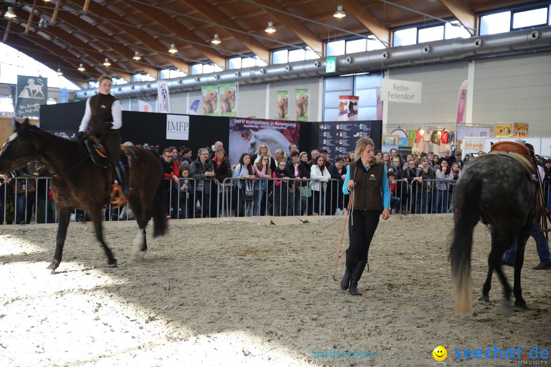 PFERD BODENSEE: Friedrichshafen am Bodensee, 13.02.2016