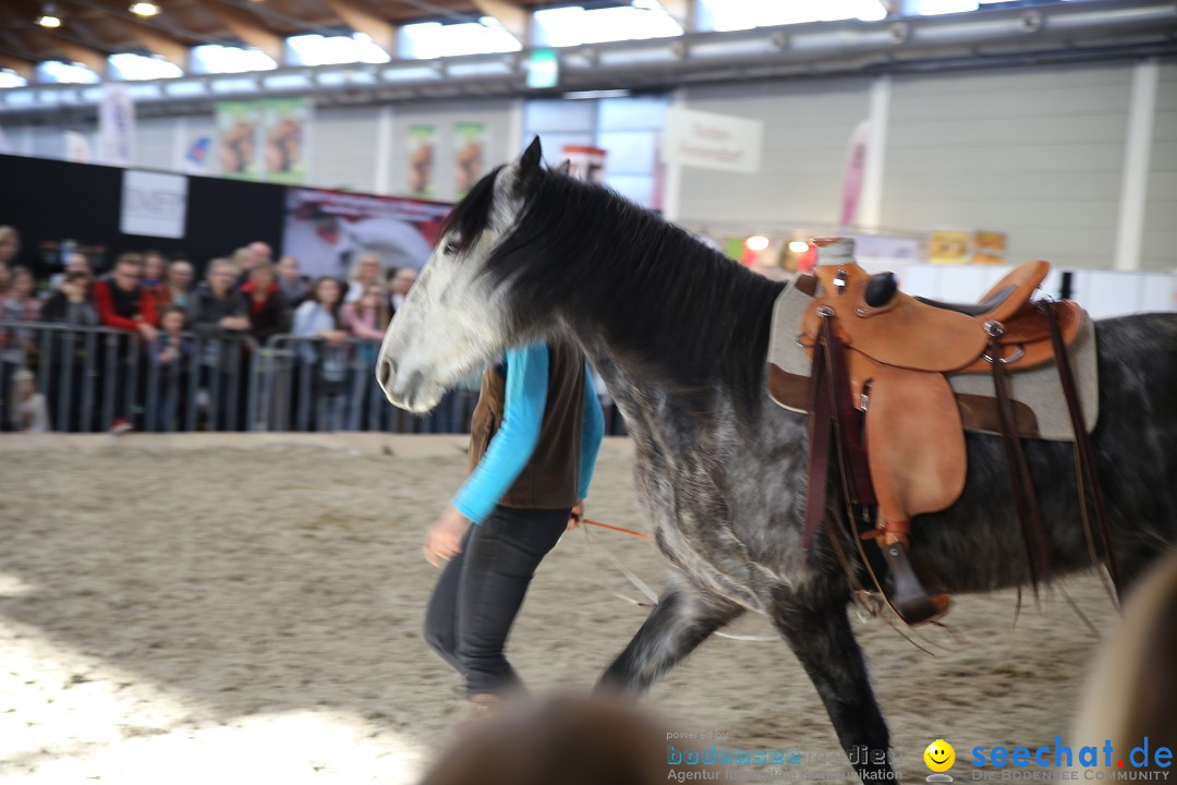 PFERD BODENSEE: Friedrichshafen am Bodensee, 13.02.2016