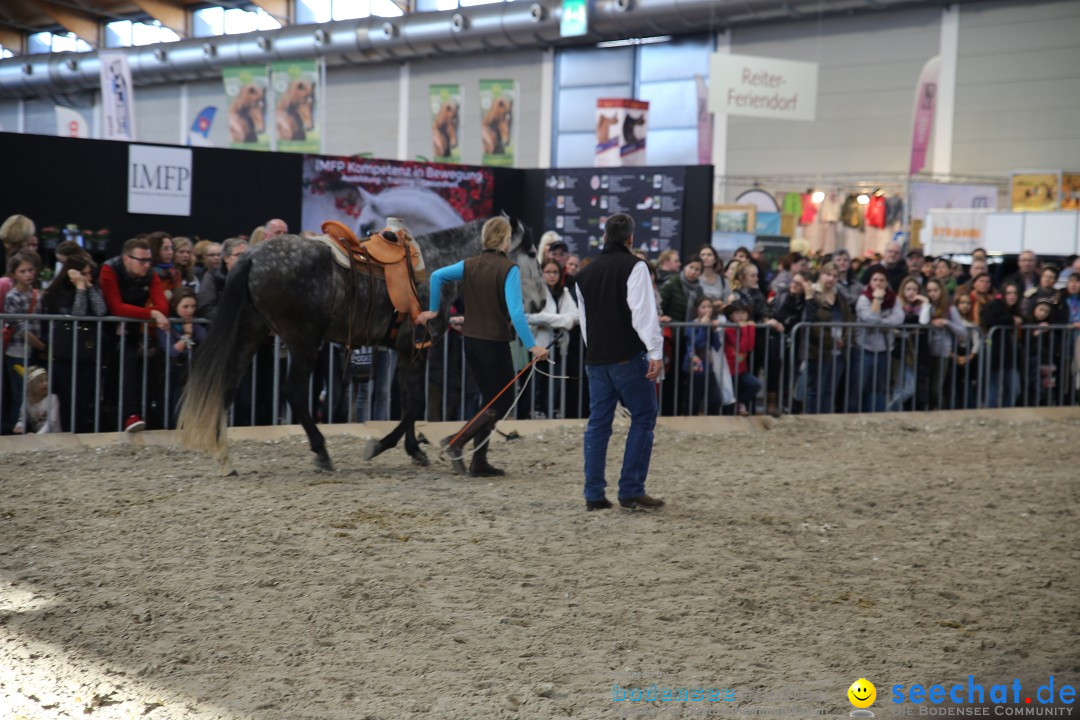 PFERD BODENSEE: Friedrichshafen am Bodensee, 13.02.2016