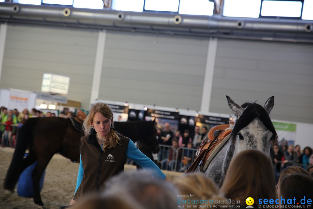 PFERD BODENSEE: Friedrichshafen am Bodensee, 13.02.2016