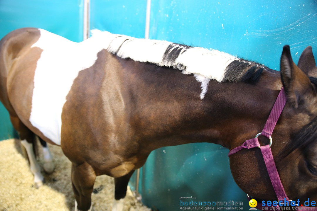 PFERD BODENSEE: Friedrichshafen am Bodensee, 13.02.2016