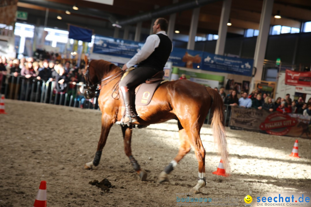 PFERD BODENSEE: Friedrichshafen am Bodensee, 13.02.2016