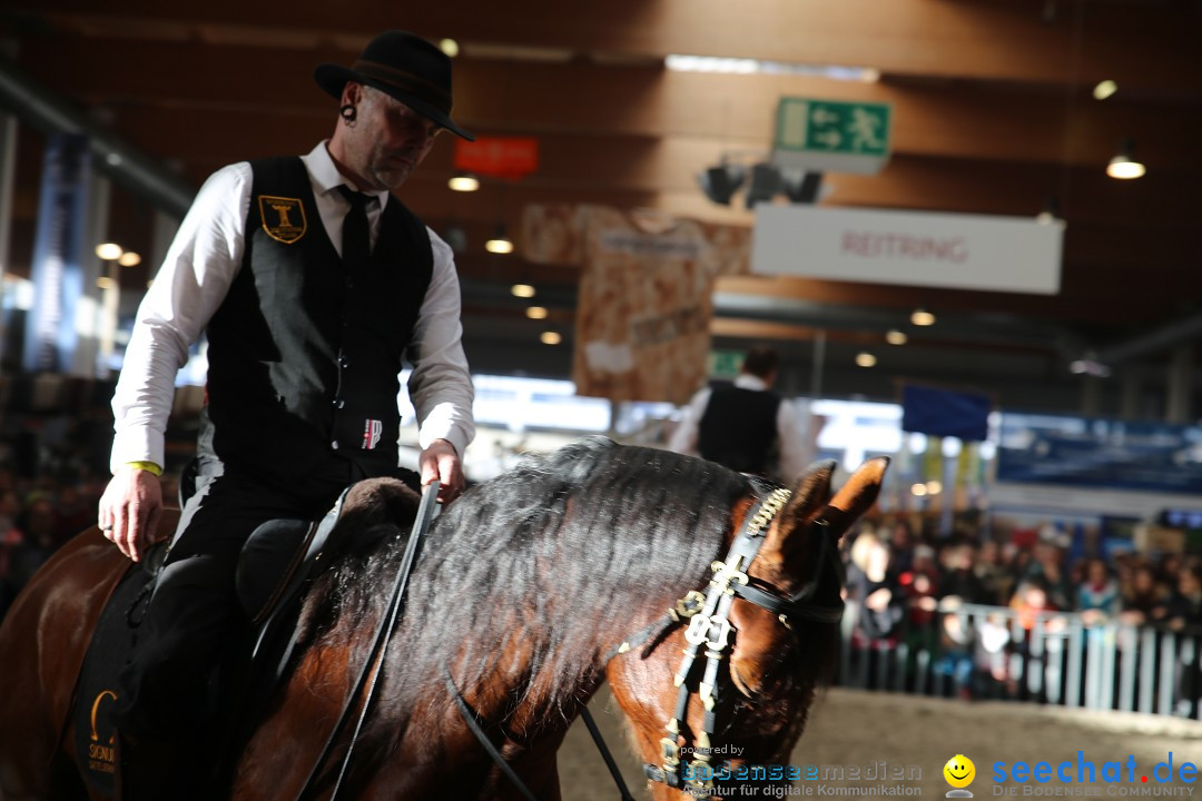 PFERD BODENSEE: Friedrichshafen am Bodensee, 13.02.2016