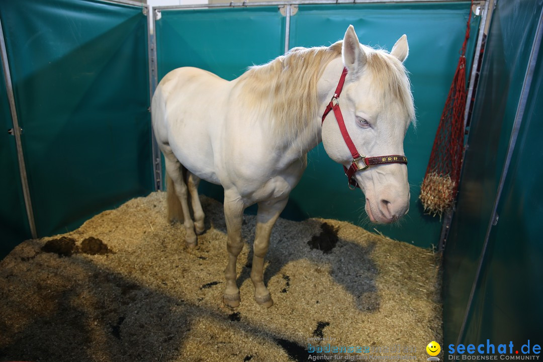 PFERD BODENSEE: Friedrichshafen am Bodensee, 13.02.2016