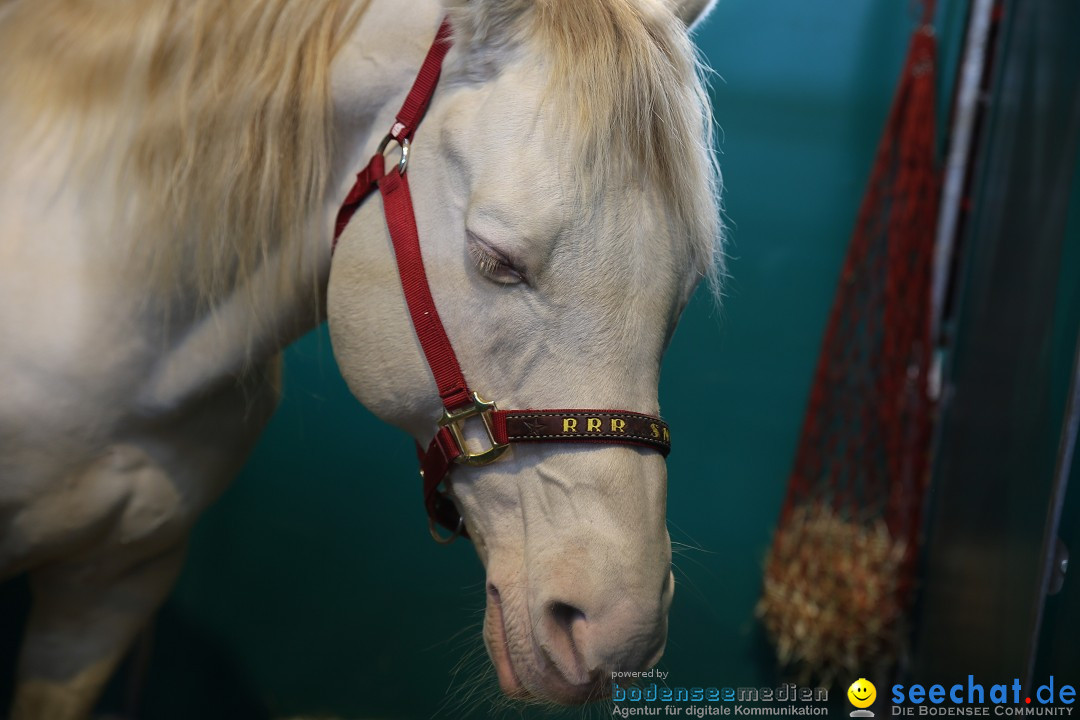 PFERD BODENSEE: Friedrichshafen am Bodensee, 13.02.2016