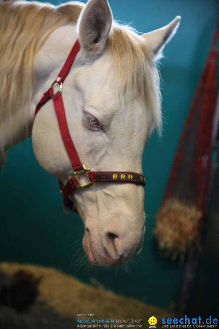 PFERD BODENSEE: Friedrichshafen am Bodensee, 13.02.2016