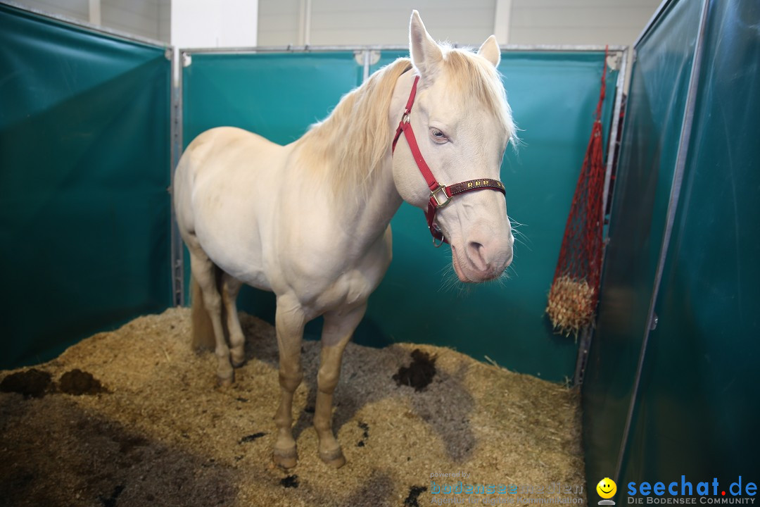 PFERD BODENSEE: Friedrichshafen am Bodensee, 13.02.2016