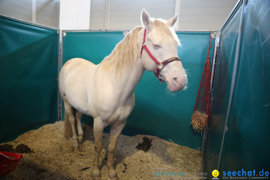 PFERD BODENSEE: Friedrichshafen am Bodensee, 13.02.2016