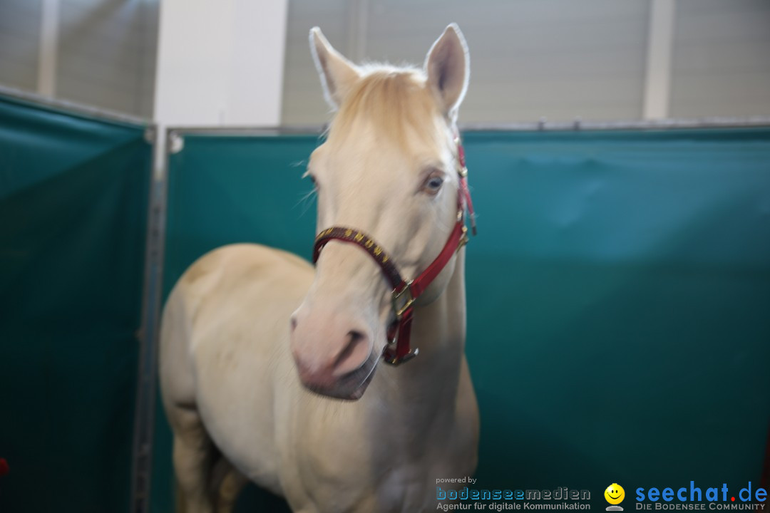 PFERD BODENSEE: Friedrichshafen am Bodensee, 13.02.2016