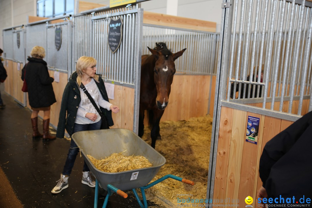 PFERD BODENSEE: Friedrichshafen am Bodensee, 13.02.2016