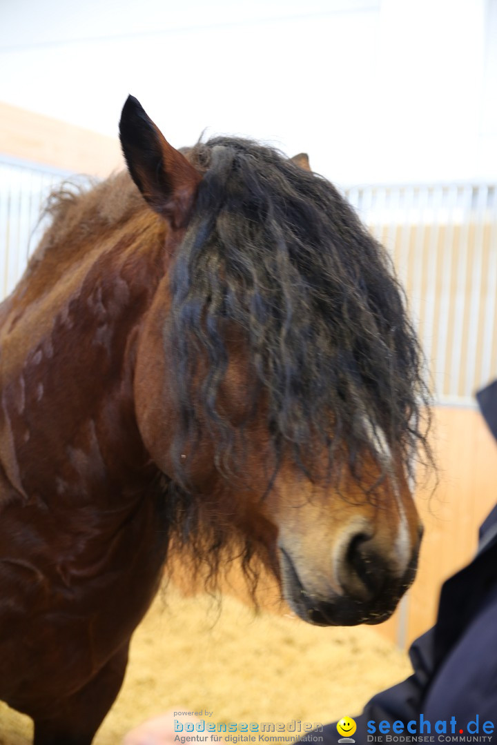 PFERD BODENSEE: Friedrichshafen am Bodensee, 13.02.2016