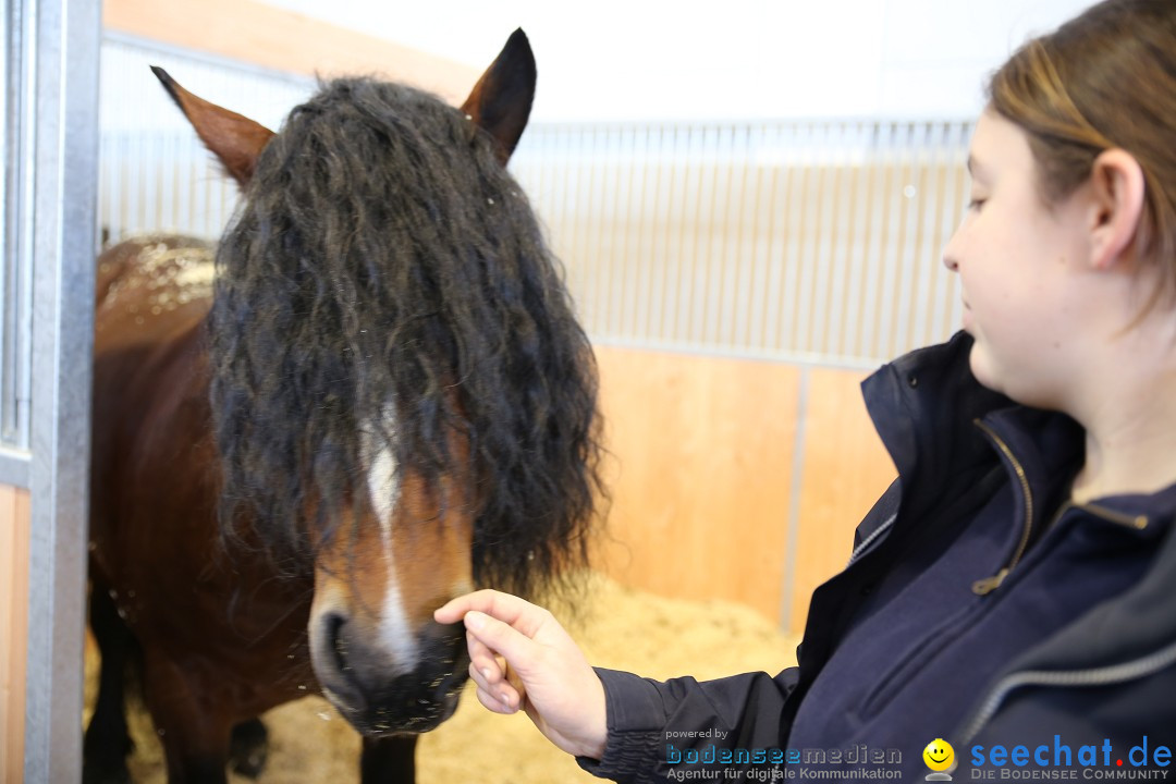 PFERD BODENSEE: Friedrichshafen am Bodensee, 13.02.2016