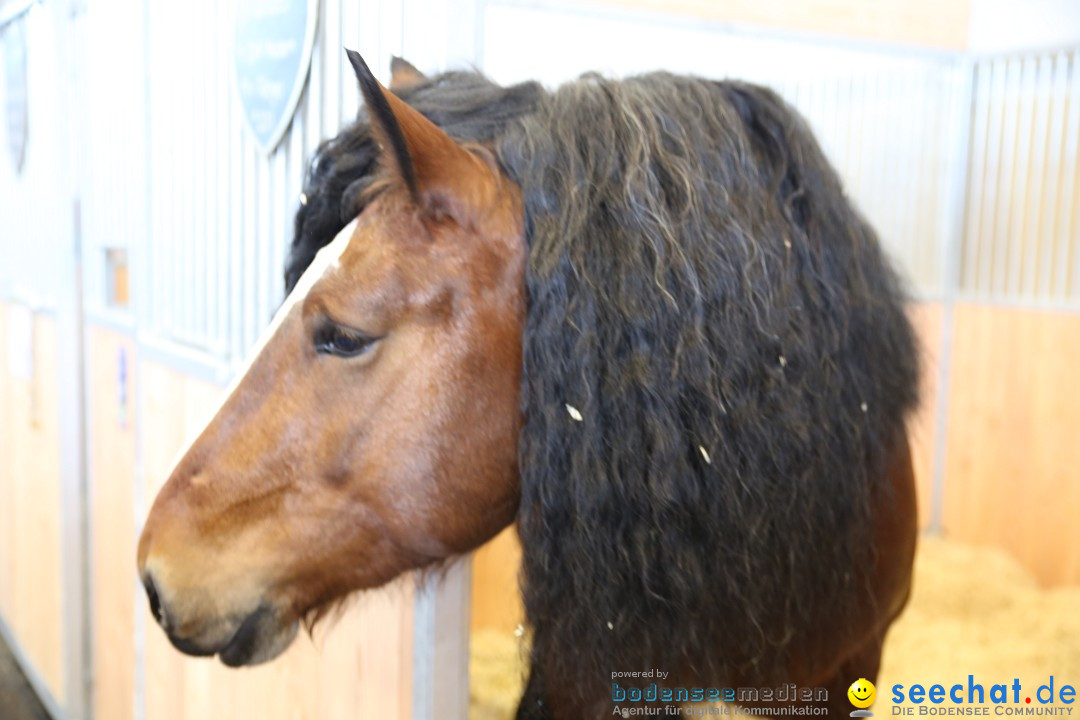 PFERD BODENSEE: Friedrichshafen am Bodensee, 13.02.2016