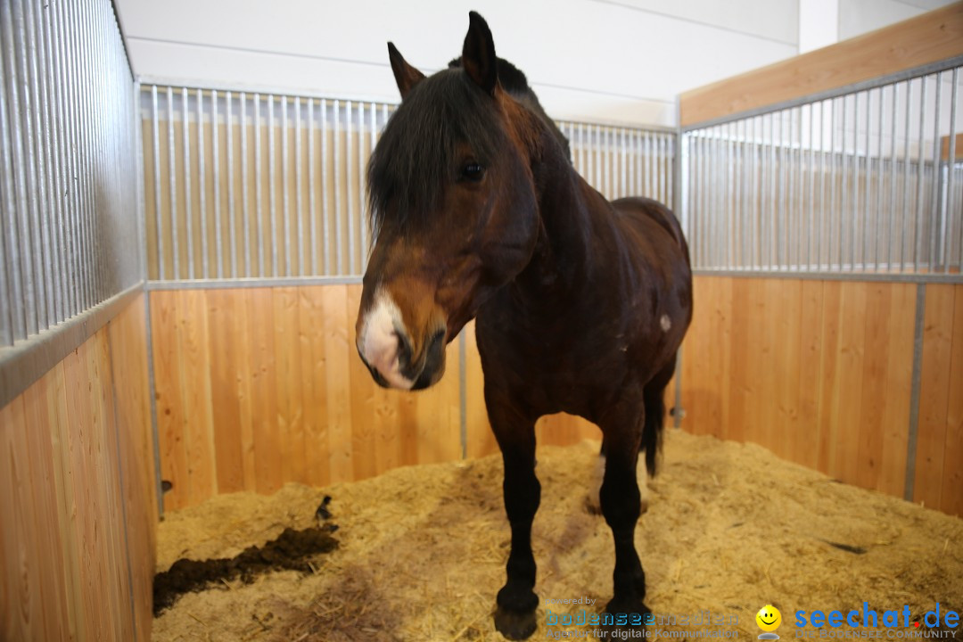 PFERD BODENSEE: Friedrichshafen am Bodensee, 13.02.2016