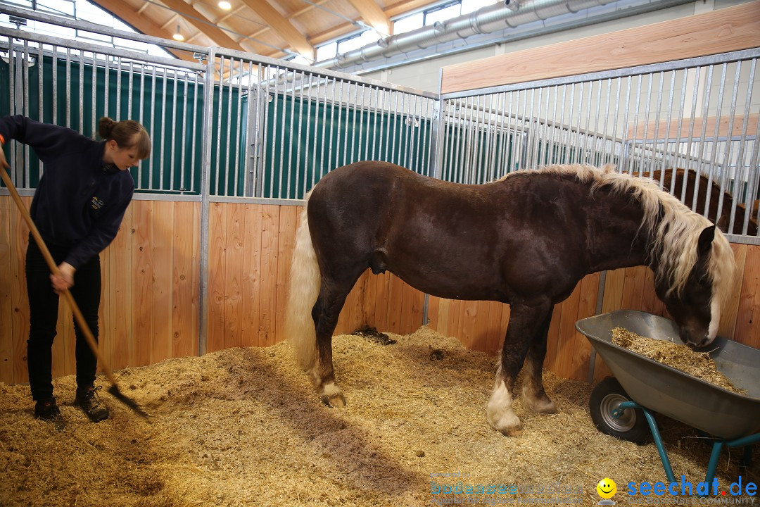 PFERD BODENSEE: Friedrichshafen am Bodensee, 13.02.2016