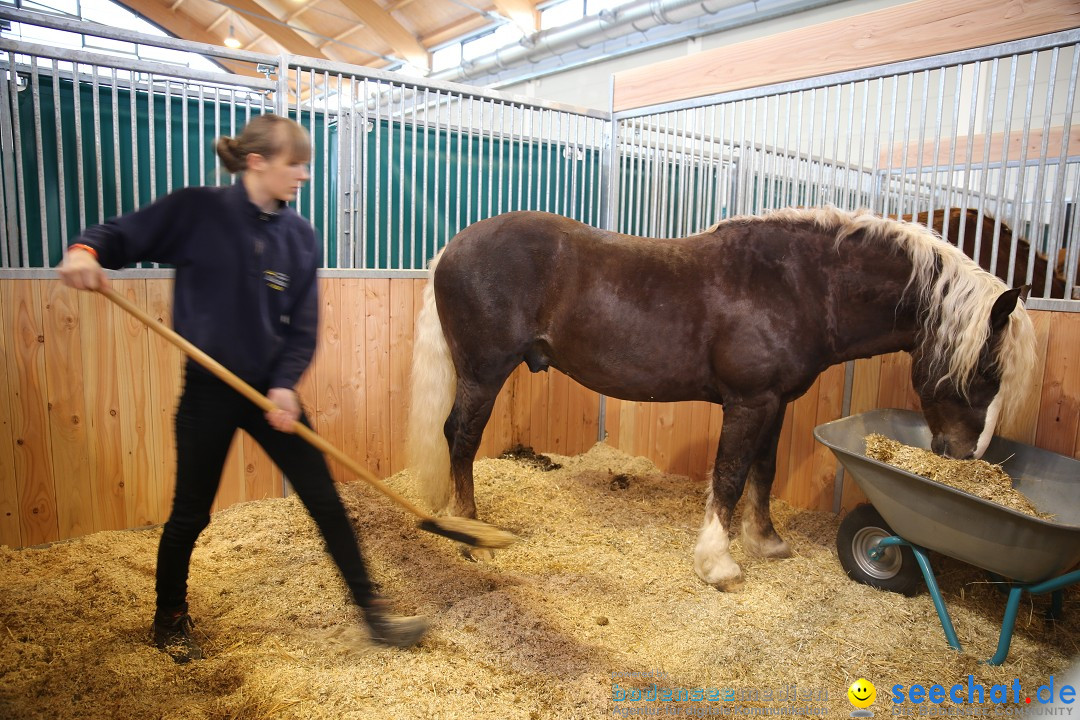 PFERD BODENSEE: Friedrichshafen am Bodensee, 13.02.2016