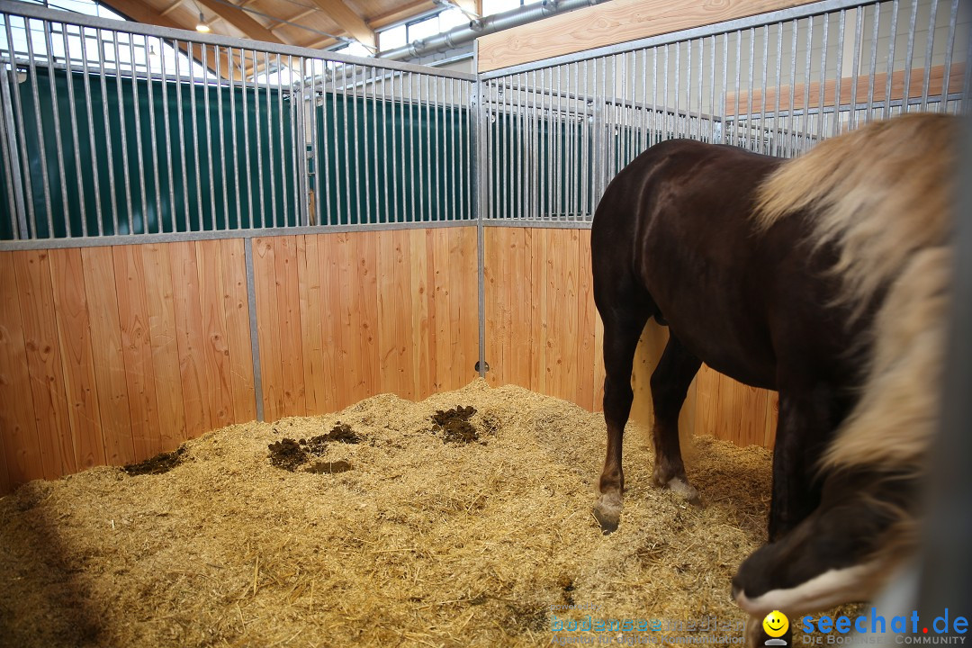 PFERD BODENSEE: Friedrichshafen am Bodensee, 13.02.2016