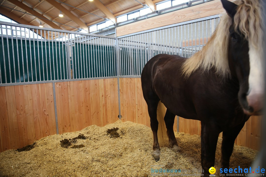 PFERD BODENSEE: Friedrichshafen am Bodensee, 13.02.2016