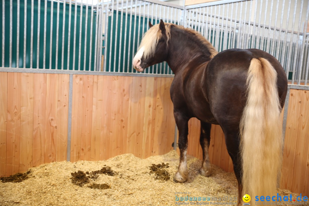 PFERD BODENSEE: Friedrichshafen am Bodensee, 13.02.2016