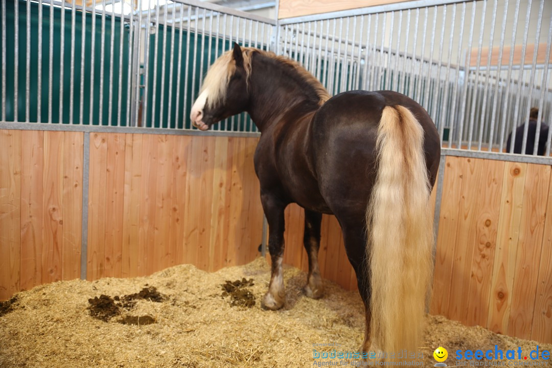 PFERD BODENSEE: Friedrichshafen am Bodensee, 13.02.2016