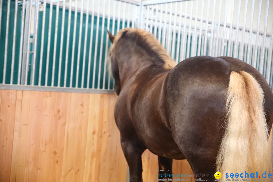 PFERD BODENSEE: Friedrichshafen am Bodensee, 13.02.2016