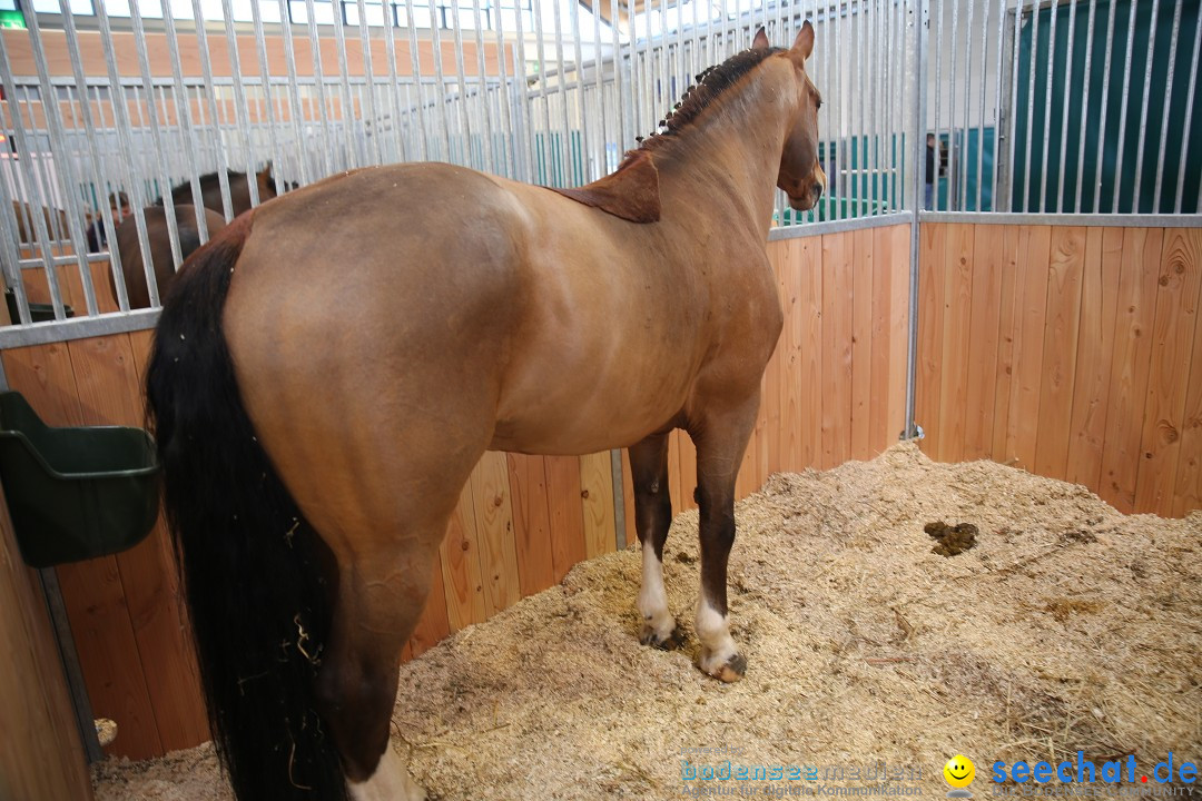 PFERD BODENSEE: Friedrichshafen am Bodensee, 13.02.2016