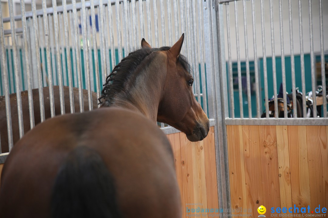 PFERD BODENSEE: Friedrichshafen am Bodensee, 13.02.2016