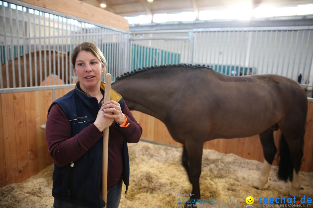 PFERD BODENSEE: Friedrichshafen am Bodensee, 13.02.2016