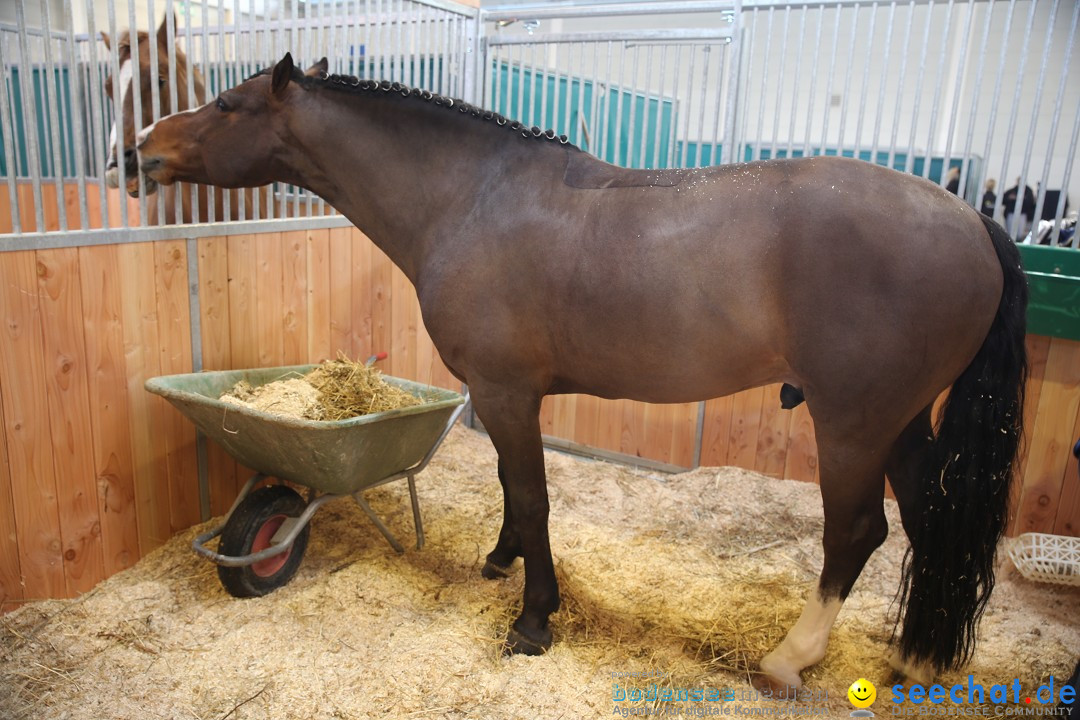 PFERD BODENSEE: Friedrichshafen am Bodensee, 13.02.2016