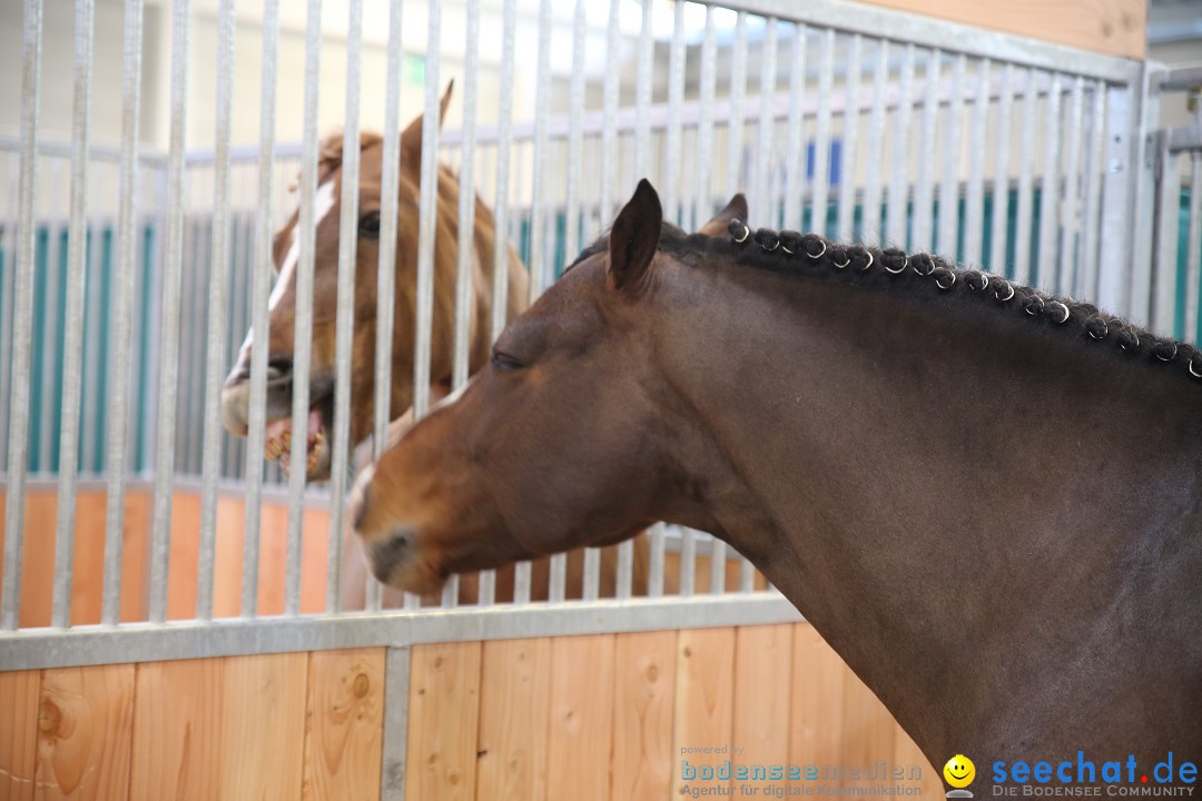 PFERD BODENSEE: Friedrichshafen am Bodensee, 13.02.2016