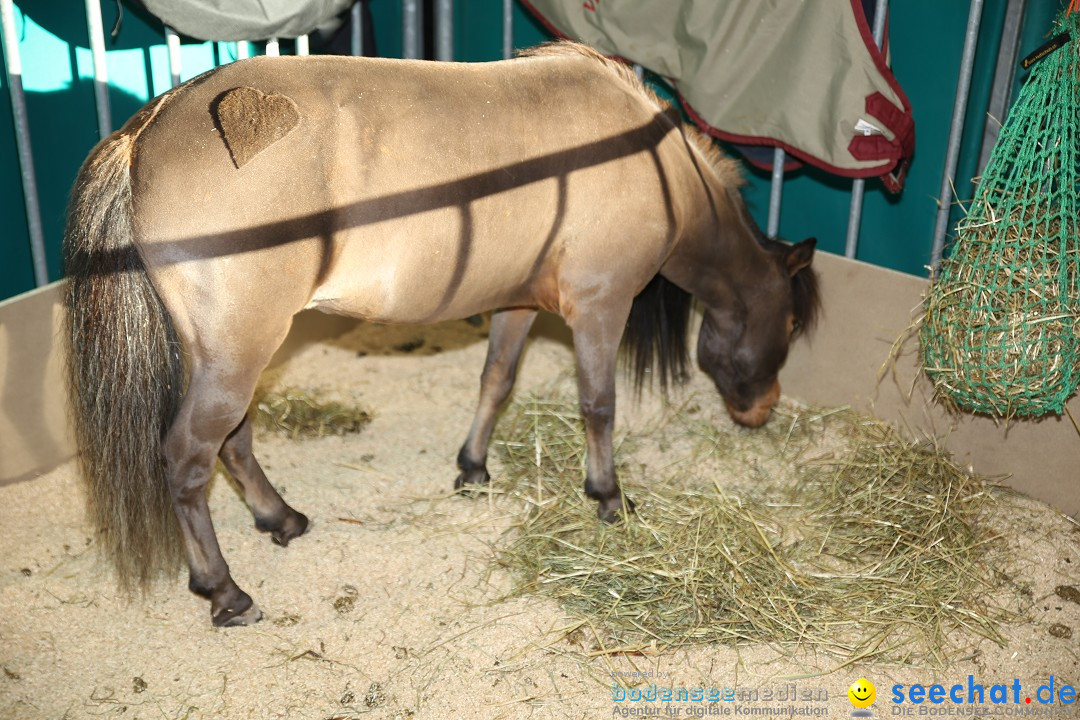 PFERD BODENSEE: Friedrichshafen am Bodensee, 13.02.2016