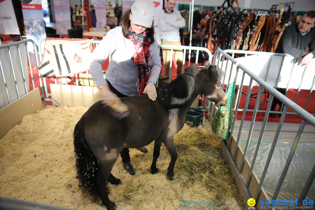 PFERD BODENSEE: Friedrichshafen am Bodensee, 13.02.2016